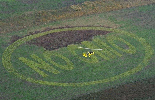 europe gm crops campaign